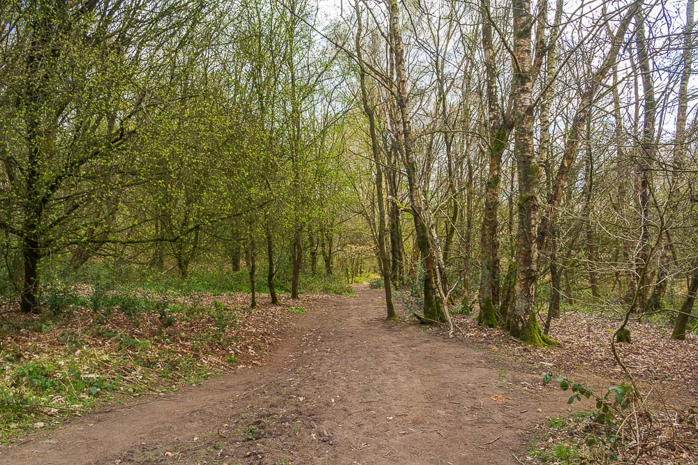 Crich Chase Crich Chase
